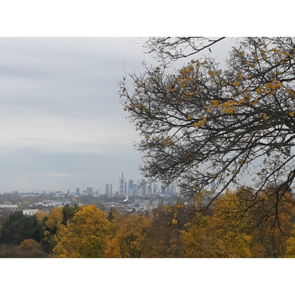 Herbstskyline Frankfurt - Imagen 2