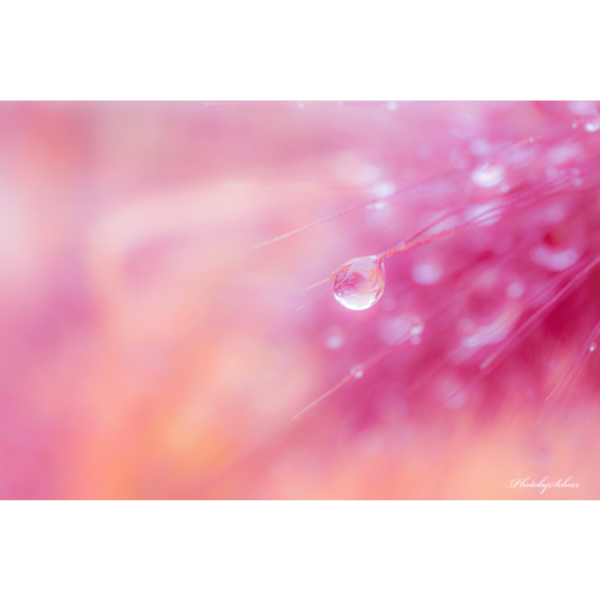 Drops in Pink – Bild 2