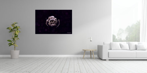 Bokeh Rose - Imagen 4