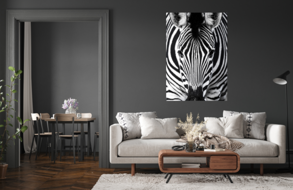 Zebra – Bild 3