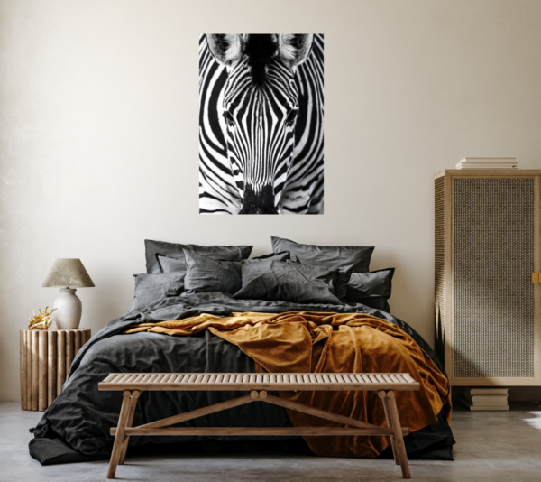 Zebra – Bild 6