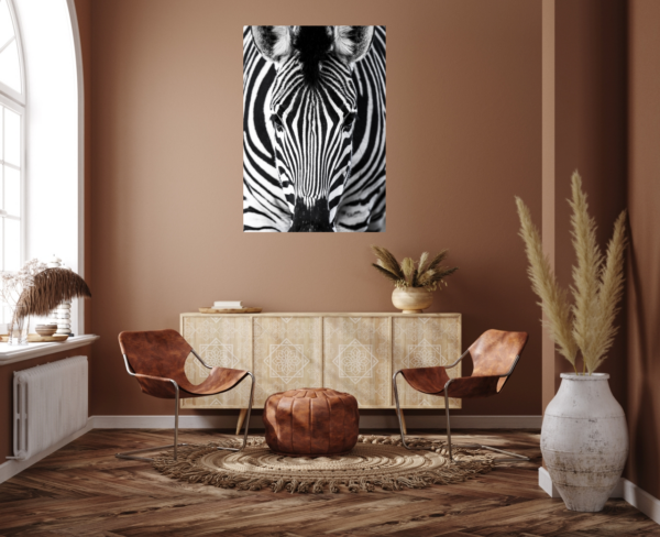 Zebra – Bild 7