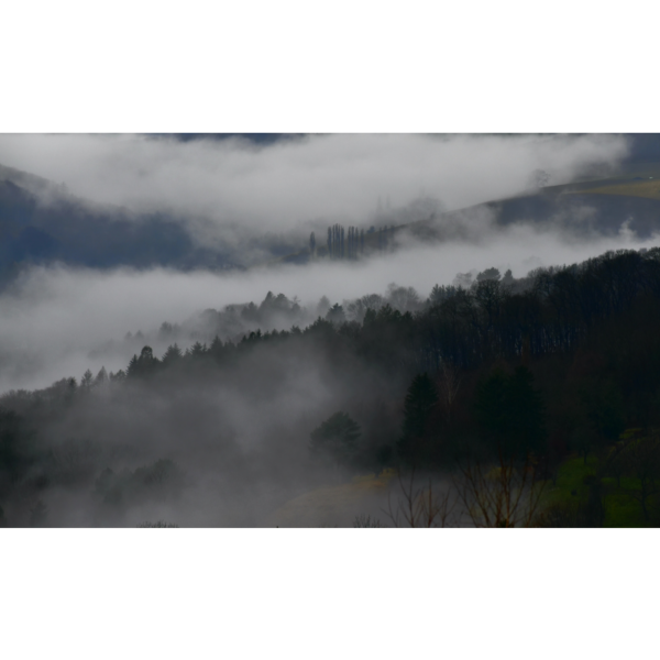 Nebel - Imagen 2