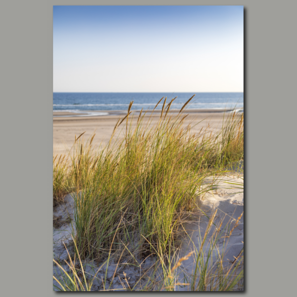 Sur la plage de la mer du Nord