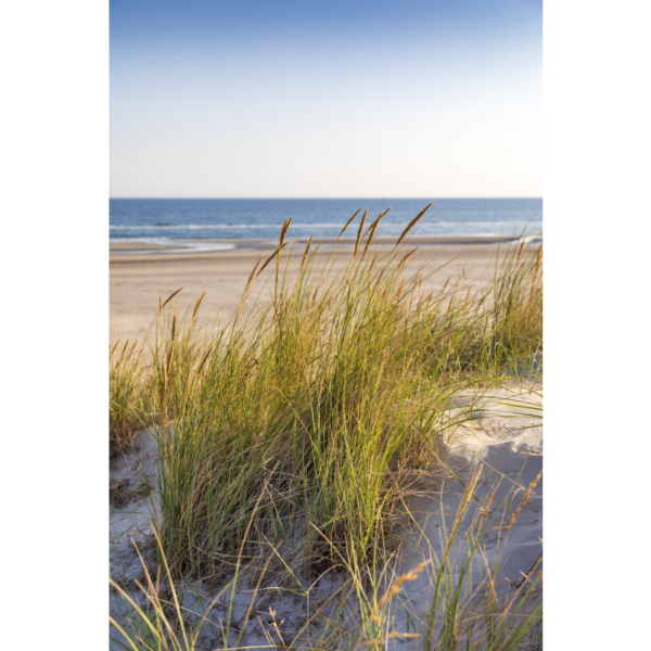 Am Nordseestrand – Image 2