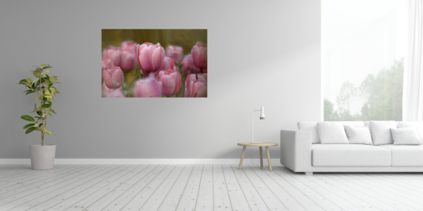 Tulpen – Image 4