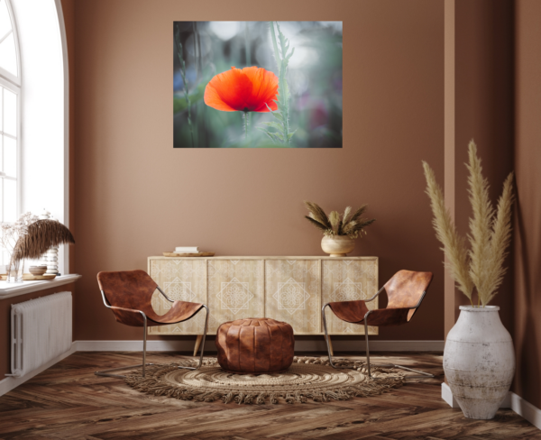 Roter Mohn - Imagen 7