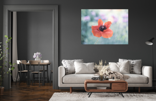 Roter Mohn – Image 3