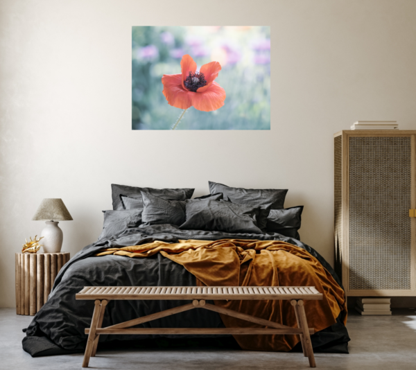 Roter Mohn – Image 6