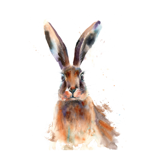 rabbit portrait - Imagen 2