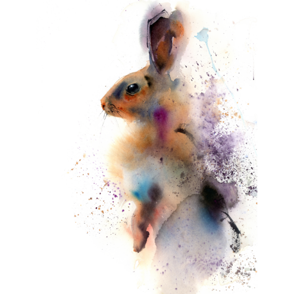 Watercolor Rabbit – Bild 2