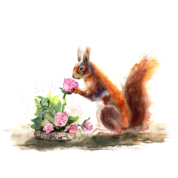 Squirrel and Flower - immagine 2