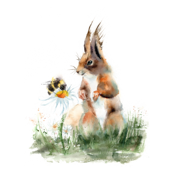 Squirrel and bee - Image 2