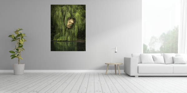 Weeping Willow – Bild 4