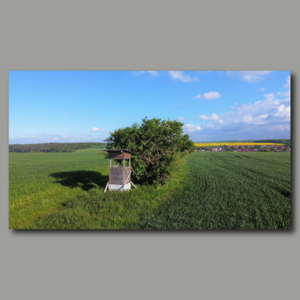 High seat in field