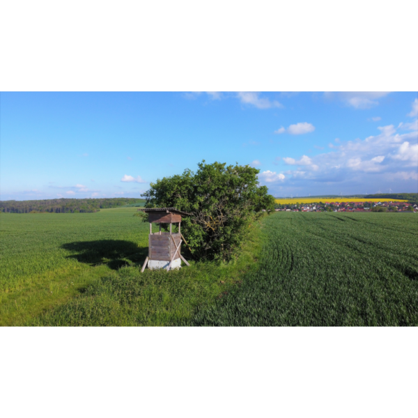 Hochsitz im Feld - Image 2