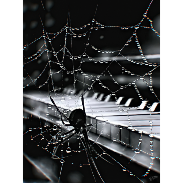 Spider web Neon b&w – Image 2