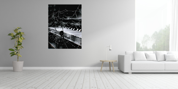 Spider web Neon b&w – Image 4