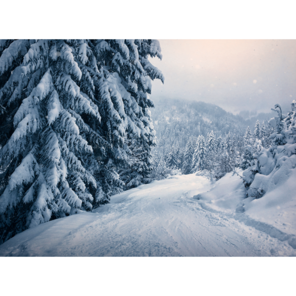 Winterwunderland - Imagen 2