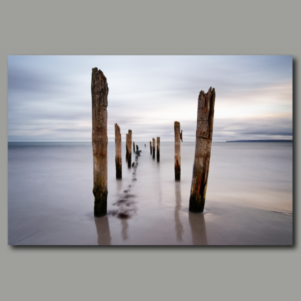 Wooden poles on the beach