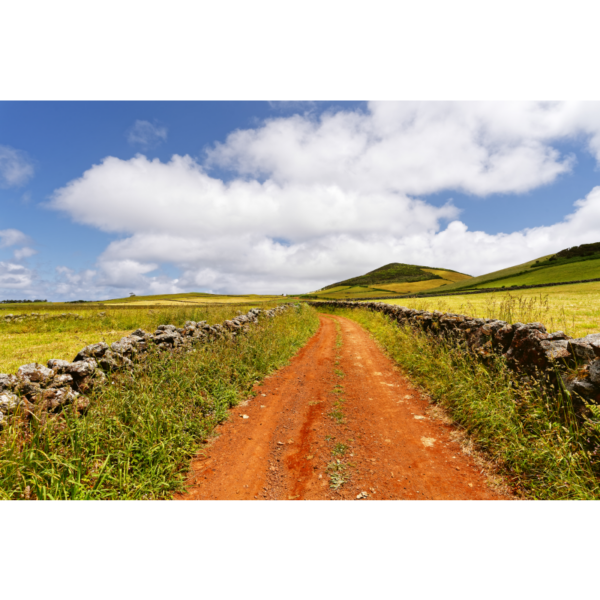 Roter Fahrweg in einer hügeligen Landschaft - Imagen 2