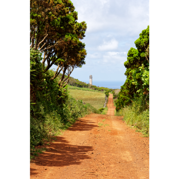 Wanderweg zum Leuchtturm auf der Azoreninsel Sao Jorge - immagine 2