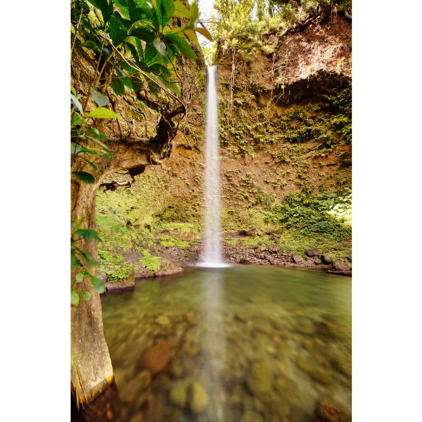 Wasserfall in Dominica – Bild 2