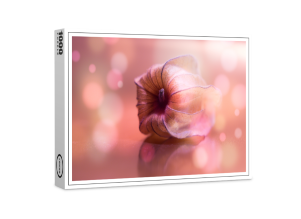 raxxa Premium-Puzzle: La vie en rose