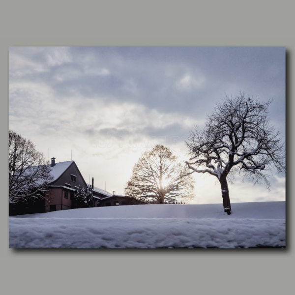 Winter Landschaft