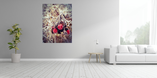 Beeren mit Frost - Imagen 4