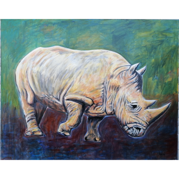 Nashorn – Bild 2