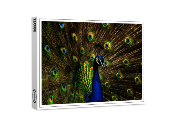 raxxa Puzzle Premium: Pavo real