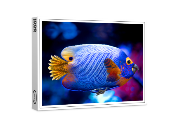 Puzzle raxxa Premium : poisson-perroquet