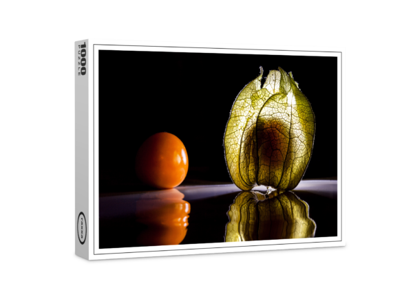 puzzle premium di raxxa: Physalis