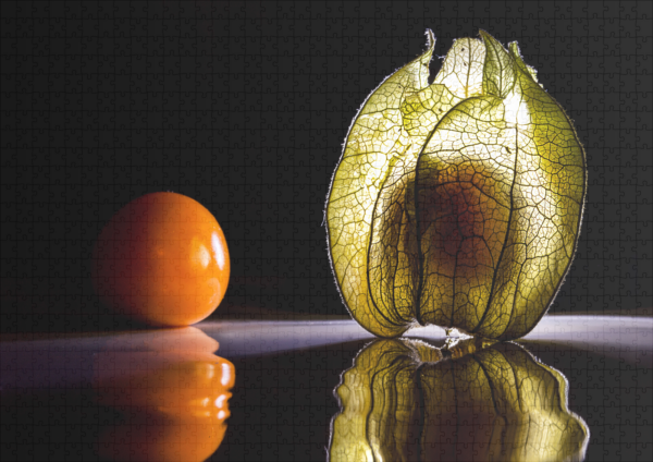 raxxa Premium-Puzzle: Physalis - immagine 2