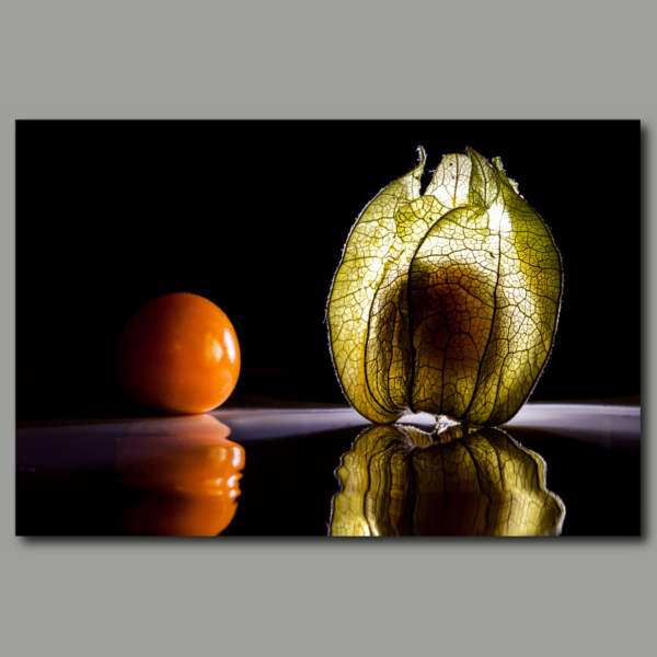 Poster: Physalis