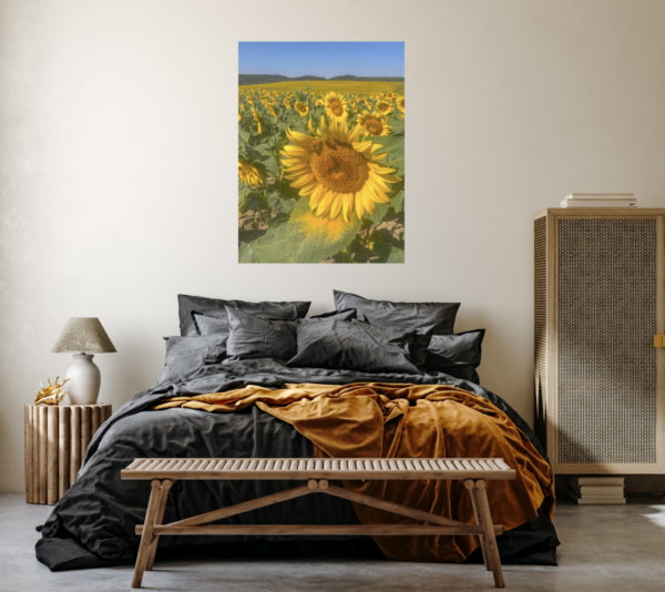 Poster: Sun flowers - Image 2