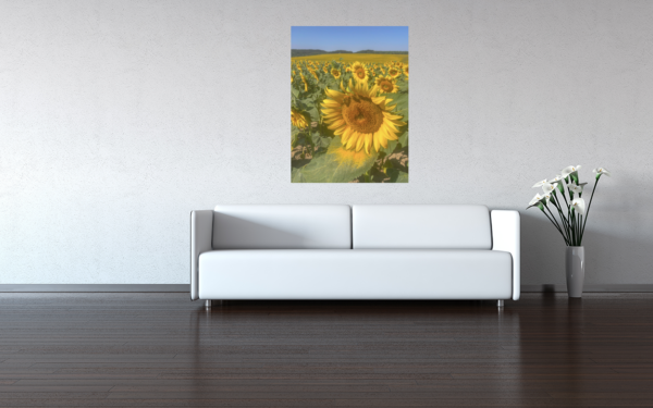 Poster: Sun flowers - Image 4