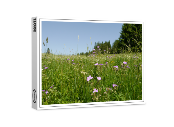 Puzzle premium raxxa : prairie fleurie avec bec de cigogne