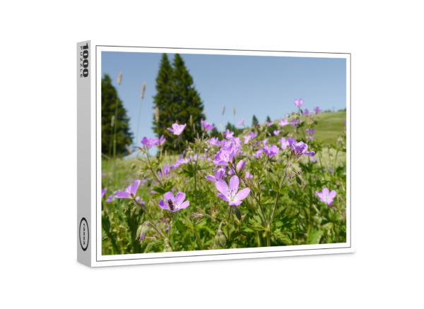 raxxa Premium-Puzzle: Storchschnabel auf Blumenwiese