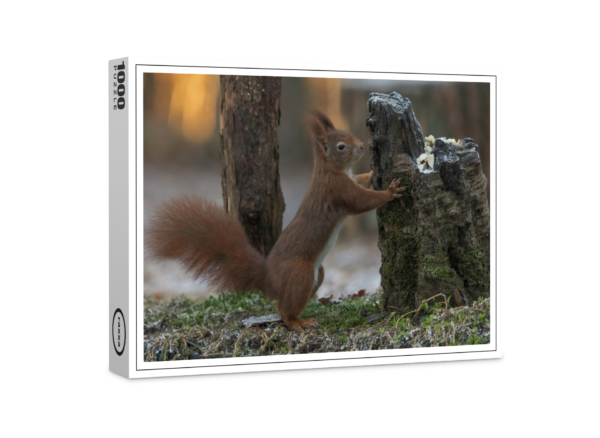 raxxa premium puzzle: Squirrels in winter