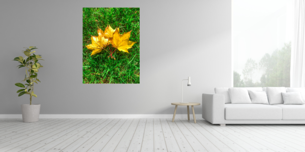 Poster: Yellow leaf - Imagen 2