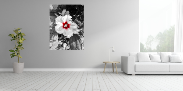 Poster: Hibiscus colors - immagine 2