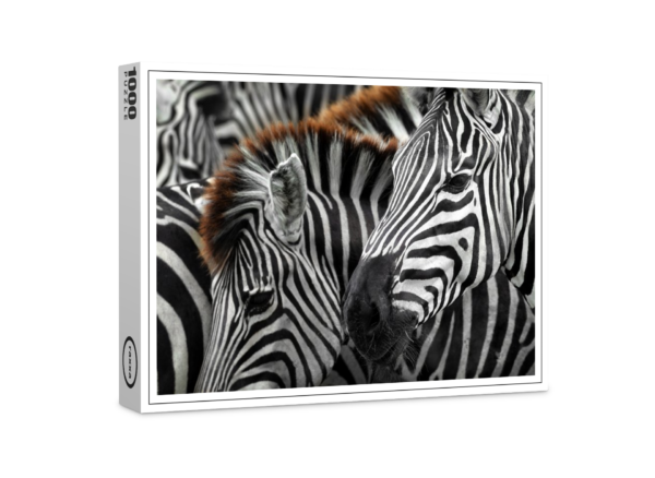 raxxa premium puzzle: Zebra head