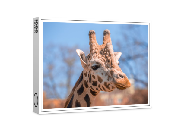 raxxa Premium-Puzzle: Girafenkopf aus Sambia