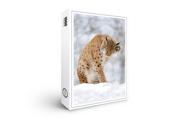 raxxa Premium-Puzzle: Luchs im Winter