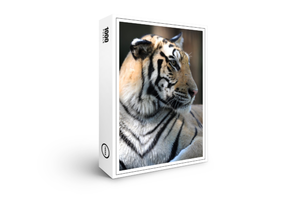 raxxa Premium-Puzzle: Bengalischer Tiger