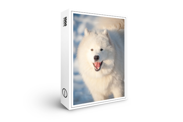 raxxa Premium-Puzzle: Samoed Hund