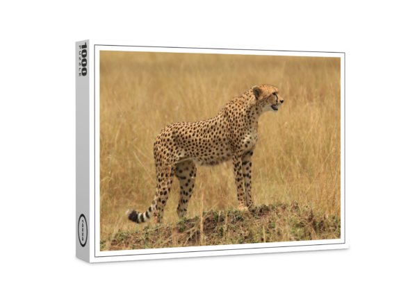 raxxa Premium-Puzzle: Fauna Afrikas