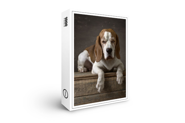 raxxa Premium-Puzzle: Beagles Porträt